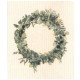 Cellulose klut Eco Eucalyptus krans