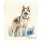 Cellulose klut ECO Husky
