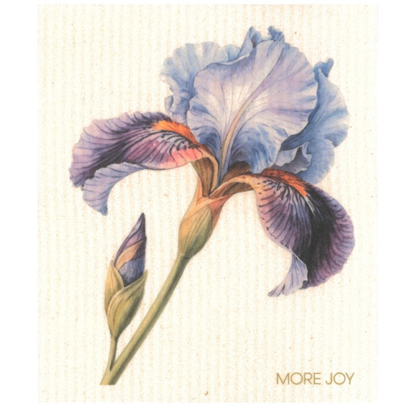Cellulose klut ECO Iris