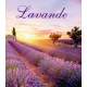 Lavendel BE refill 300 ml (ink sorte pinner)