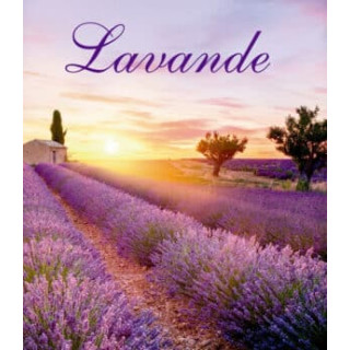 Lavendel BE refill 300 ml (ink sorte pinner)