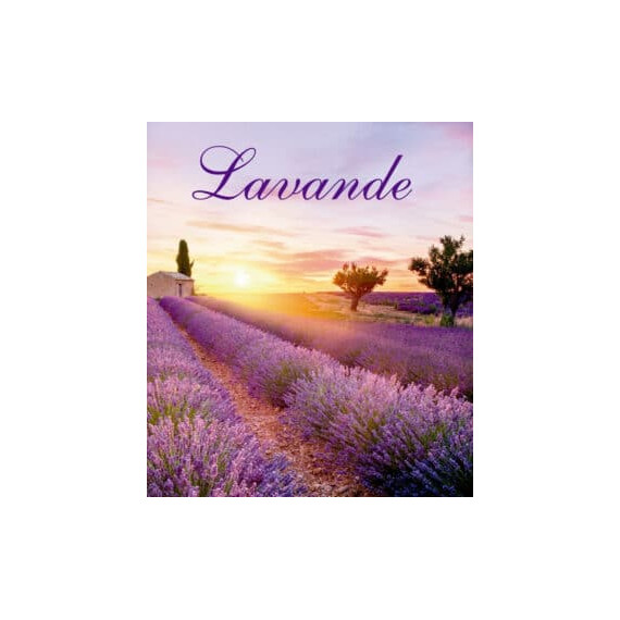 Lavendel BE refill 300 ml (ink sorte pinner)
