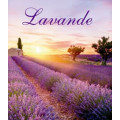 Lavendel BE refill 300 ml (ink sorte pinner)