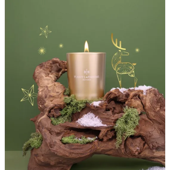 Enchanted Fire tree Duftlys vegetabilskvoks 180 gr