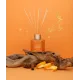 Cinnamon - Orange Kanel & Appelsin Duftpinner 100 ml