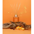 Cinnamon - Orange Kanel & Appelsin Duftpinner 100 ml