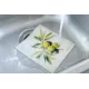 Cellulose klut ECO Elg sort&hvit